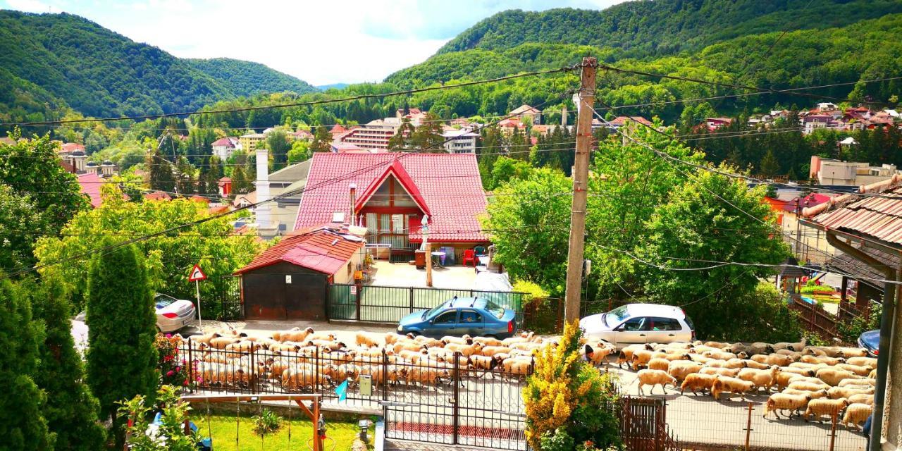 Casa Giulia Hotel Băile Olăneşti Exterior foto