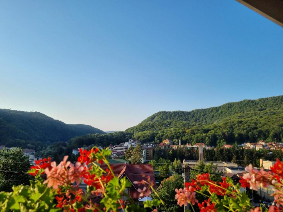 Casa Giulia Hotel Băile Olăneşti Exterior foto